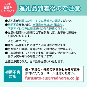 ※2024年先行予約※【信州長野県産】種無し巨峰1.6～1.8kg（２～３房)