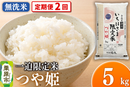 《定期便2回》【無洗米】令和7年産 一迫限定米 つや姫 5kg