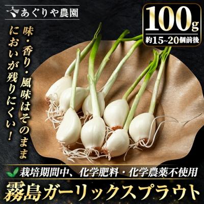 ふるさと納税 霧島市 霧島ガーリックスプラウト 100g (約15〜20個前後入り) 【あぐりや農園】 K-693