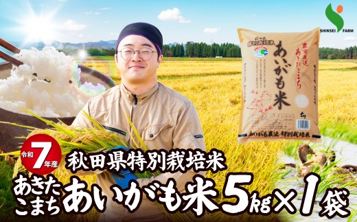 【訳あり】令和7年産秋田県特別栽培米あきたこまち「あいがも米」5kg 75P9018　/ 米 特別栽培米 白米 令和7年産 秋田県産 あきたこまち 5kg おにぎり 大館 東北 秋田 小分け こわけ 大館市 5キロ 5ｷﾛ 5きろ あいがも米 アイガモ米 あいがも農法 アイガモ農法