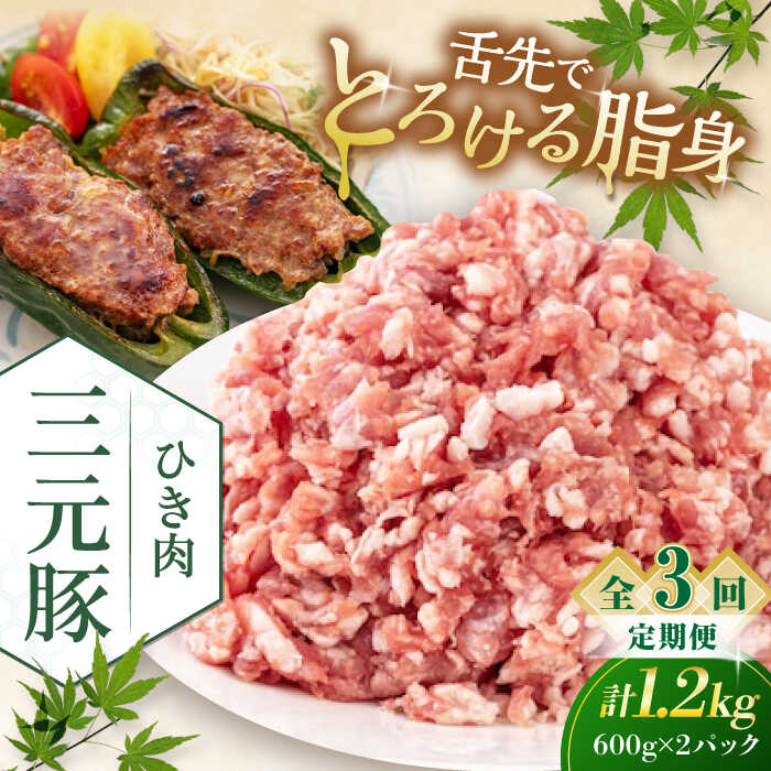 【ふるさと納税】 定期 三元豚 ひき肉1.2kg 600g×2パック ▼ 全3回 定期便 《喜茂別町》【平田牧場】 肉 豚肉 ミンチ 豚ミンチ 餃子 つくね 冷凍配送 定期便 定期 北海道 平田牧場 おすすめ [AJAP123] 39000 39000円