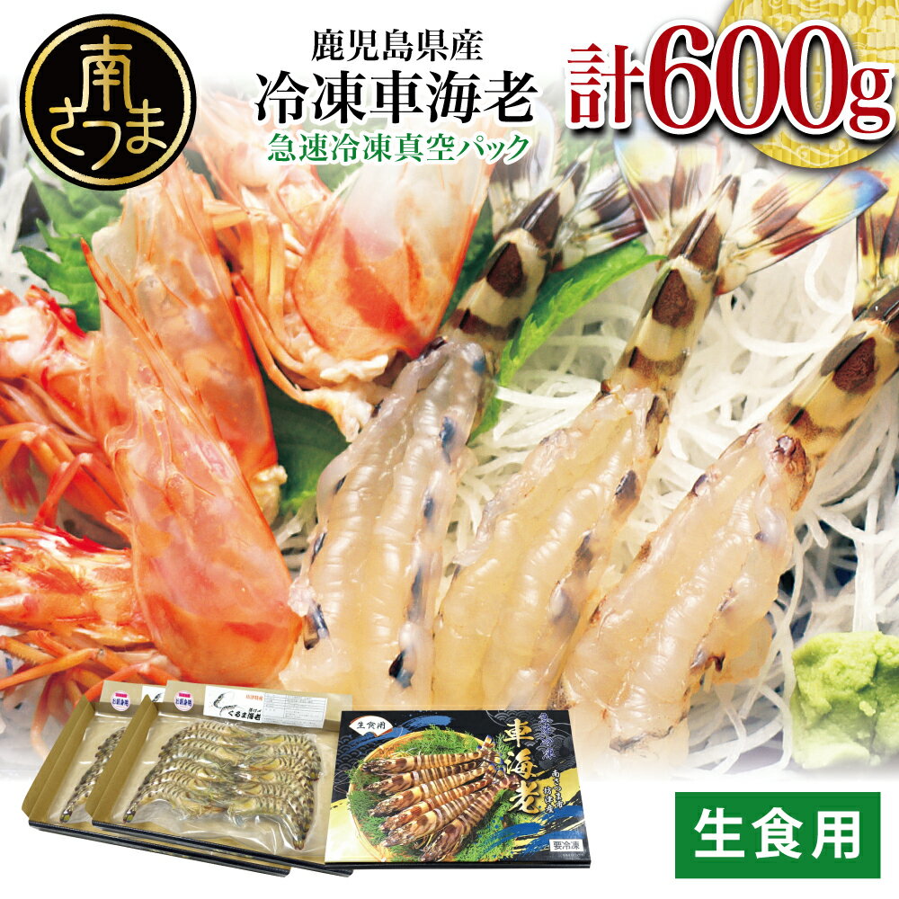 【ふるさと納税】【鹿児島県産】活〆 冷凍車海老 600g（生食用） 車エビ 車えび くるまえび 海老 えび クルマエビ 海鮮 刺身 寿司 天ぷら 塩焼き エビフライ 南さつま市 送料無料