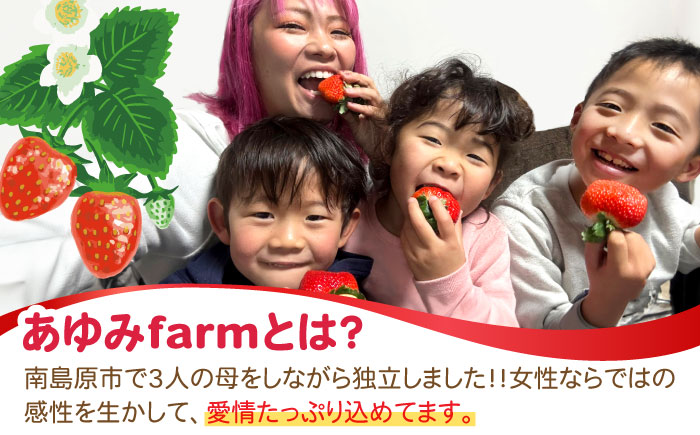 【2025年1月～発送】南島原産 いちご 『恋みのり』約260g×4パック / フルーツ 果物 イチゴ 苺 / 南島原市 / あゆみfarm [SFF001]