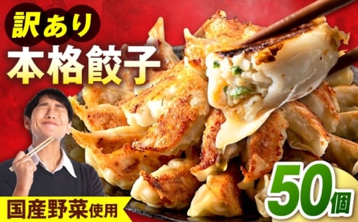 訳あり 本格餃子 50個セット 訳あり 本格 餃子 50~100個セット ぎょうざ 国産 ギョーザ 野菜 わけあり ワケアリ 冷凍餃子 ぎょうざ ジューシー 中華 セット 詰め合わせ 国産野菜 大容量 たっぷり 惣菜 横須賀【株式会社オウモリ食品】 [AKHQ001]