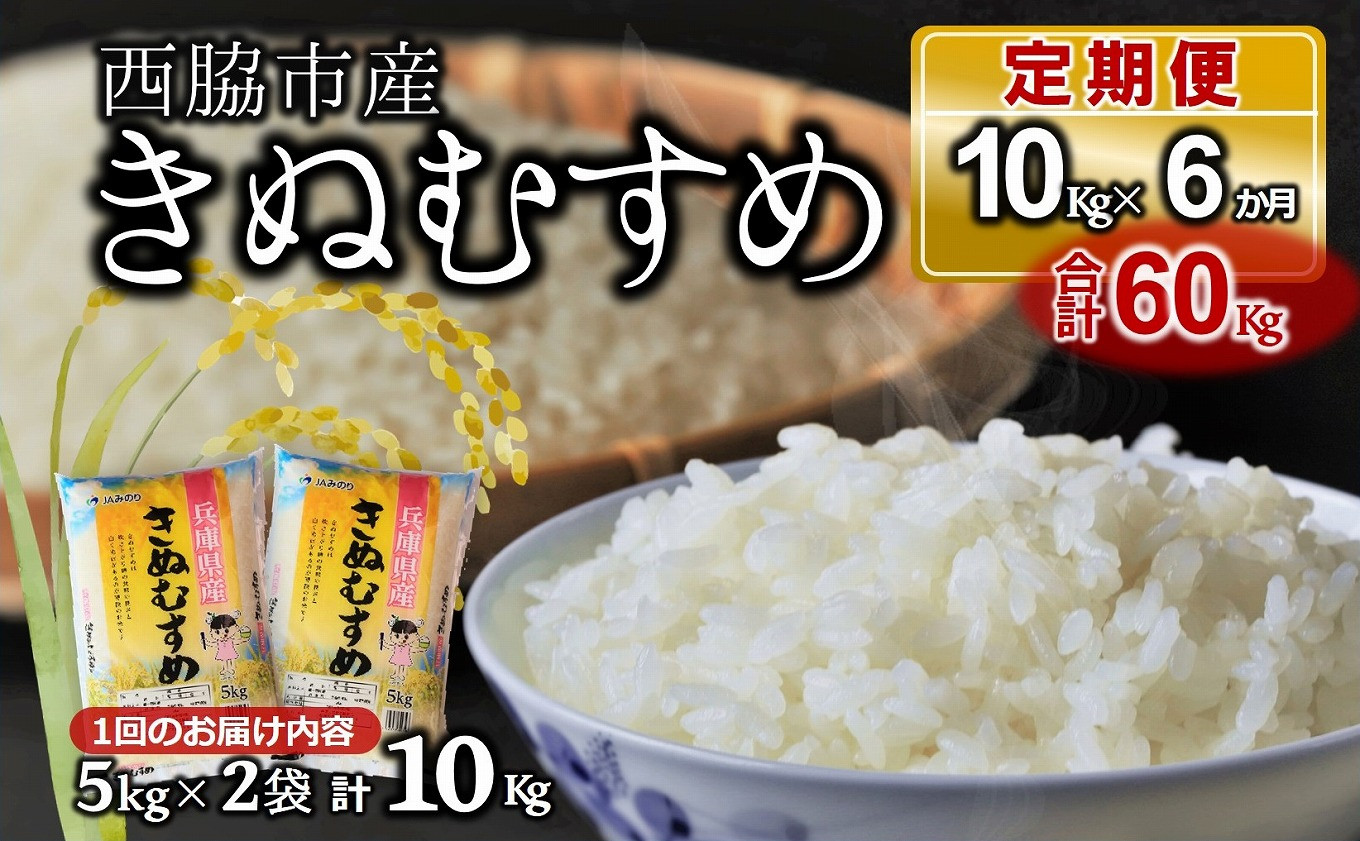 
            【ブランド米 きぬむすめ 定期便！６ヵ月連続お届け！】合計60kg（精米5kg×2袋6か月）(115-3)
          