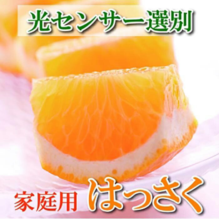 【ふるさと納税】［先行予約］家庭用 はっさく10kg+250g（傷み補償分）【八朔みかん】【訳あり・わけあり】［IKE30］ | 和歌山県 和歌山 九度山町 楽天ふるさと 納税 みかん ミカン 蜜柑 柑橘 柑橘類