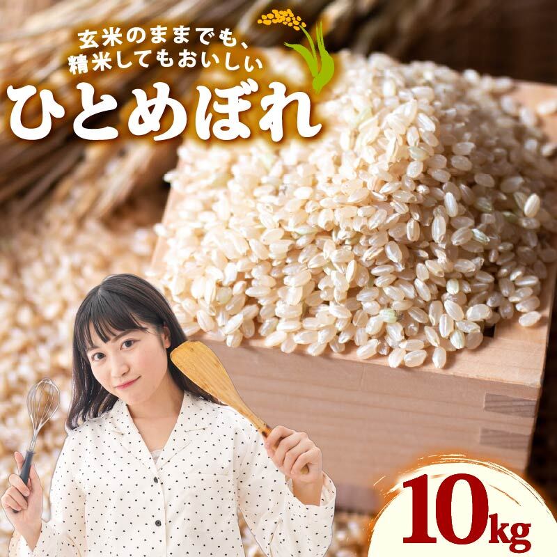 【ふるさと納税】 【先行予約】ひとめぼれ 新米 玄米 10kg 令和8年度産 お米 米 日常 食卓 家庭用 おにぎり お弁当 食品 おむすび ヒトメボレ 牧之原市 もちもち あまい 食物繊維 ごはん 大石農園 静岡県 牧之原市