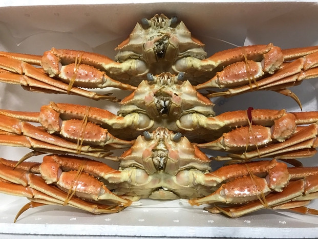 【ボイル】訳あり 松葉ガニ おまかせ 2kg（3～7枚）※2026年11月上旬～2027年3月下旬頃に順次発送予定  蟹 ※着日指定不可
