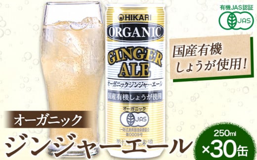 ジンジャーエール 250ml×30缶 光食品株式会社《30日以内出荷予定(土日祝除く)》徳島県 上板町 ジュース 炭酸水 光食品 ジンジャーエール オーガニック 有機