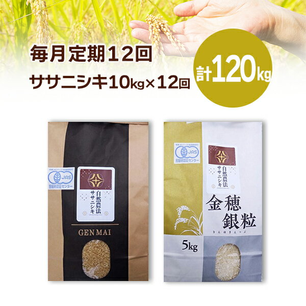 【ふるさと納税】《 新米先行予約 》定期便 12回 令和7年産 新米 自然農法ササニシキ10kg 選べる 玄米 精米 お米 ご飯 米 岩手県 一関市