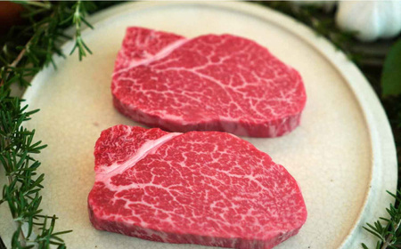 ＜牧場直送＞【全6回定期便】佐賀牛ヒレステーキ300gとステーキ600g 計5.4kg / 国産牛 牛肉 ステーキ 焼肉 ギフト 記念日 贈答 / 佐賀県 / 有限会社佐賀セントラル牧場[41ASAA