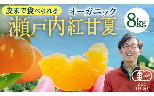 
                  【 先行予約 】 瀬戸内 オーガニック 紅甘夏 8kg+お試しオーガニックレモン1個 【2027年3月下旬以降発送】 甘夏 オレンジ 国産 有機JAS認証 有機栽培 柑橘 果物 フルーツ 広島 大崎上島
                