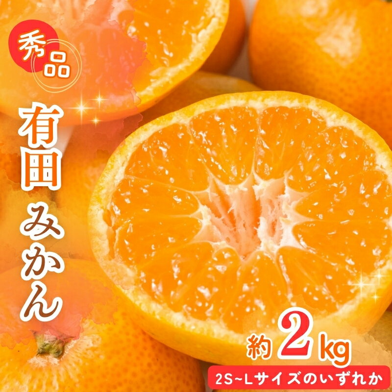 【ふるさと納税】 【先行予約】秀品 有田みかん 2kg 2S～Lサイズのいずれか ※2026年11月下旬頃〜2027年1月下旬頃に順次発送予定 / みかん ミカン 蜜柑 温州みかん 柑橘 フルーツ 果物 くだもの 和歌山