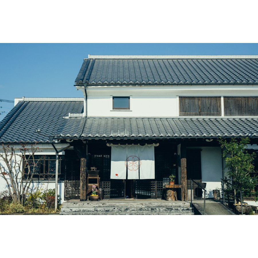 ＜蔵出しめんたい本舗＞特選蔵出しめんたい 無着色 380g　