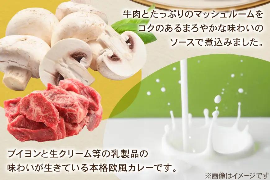 カレー レトルト ハウス カレーマルシェ 辛口 180g 10個
