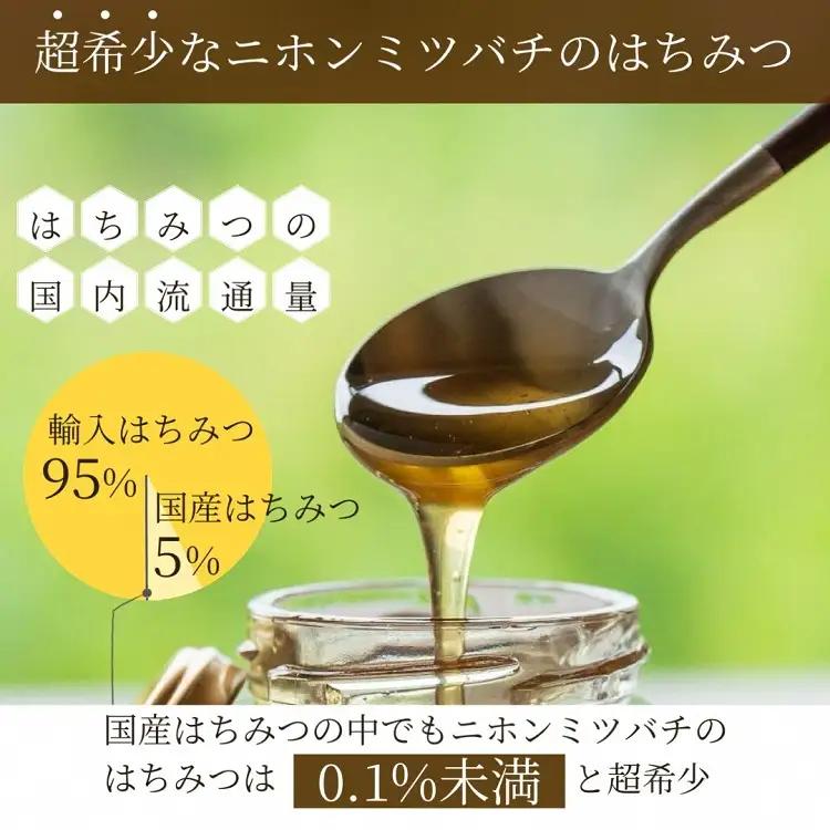 ニホンミツバチの生はちみつ 130g 蜂蜜 非加熱 国産 純粋 ギフト 無添加 健康 お取り寄せ