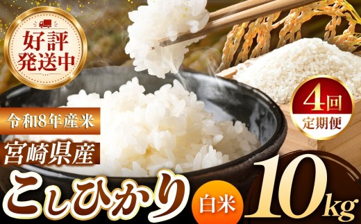 【定期便4回】 令和8年産 こしひかり 10kg （白米） 宮崎県産 | 米 こめ お米 おこめ 精米 白米 宮崎県 五ヶ瀬町