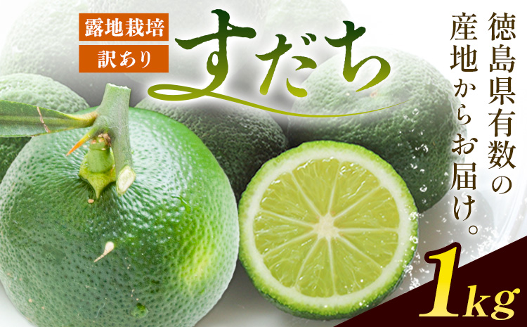 ＜2026年予約受付＞ 生産量日本一!! ちょっとキズでも香りは満点 徳島県産 訳ありすだち 1kg《9月上旬-9月末頃に出荷予定(土日祝除く)》徳島県 佐那河内村 すだち サイズ不揃い B級すだち すだち キズあり すだち 不揃い