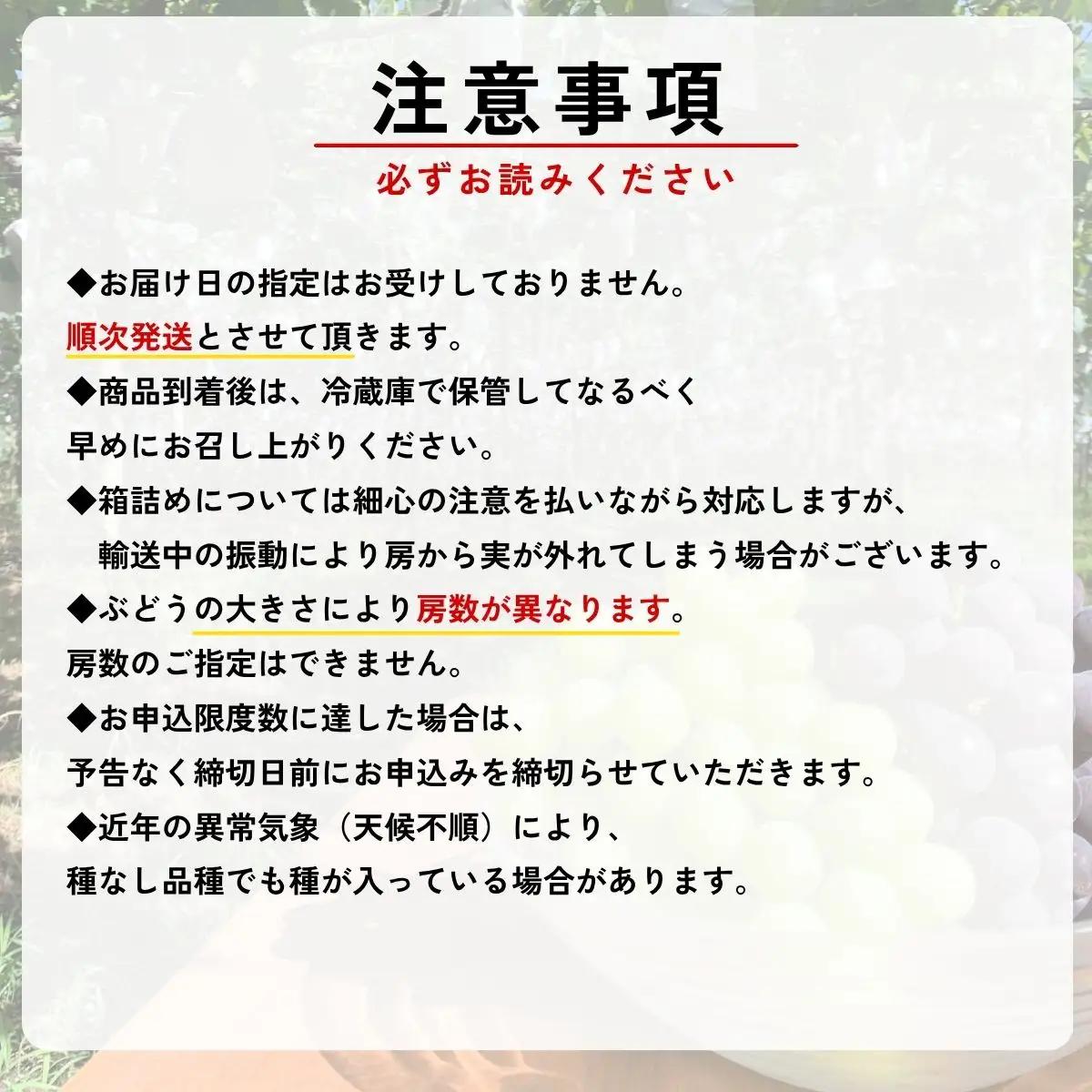 【農家直送（収穫日に発送）】訳アリ シャインマスカット 3kg (3~5房)　訳あり