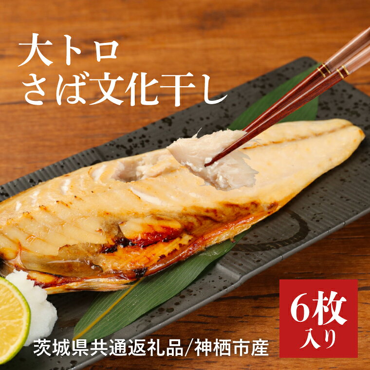 【ふるさと納税】 大トロ トロ さば 一夜干し 鯖 干物 セット 6パック 真空パック さば文化干し 干し 真空パック ノルウェー産 ノルウェー おかず つまみ 肴 トロトロ トロットロ グリル オーブン grill oven 茨城県 鹿嶋市 神栖市産 茨城県共通返礼品