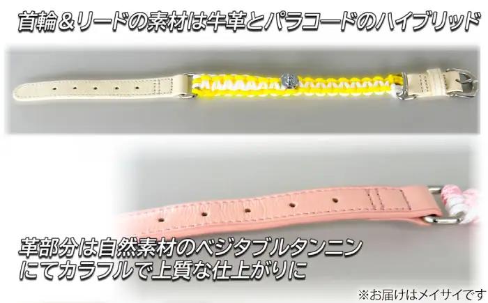 ペット 犬の首輪＆リードセット メイサイ S ペット BLBX017
