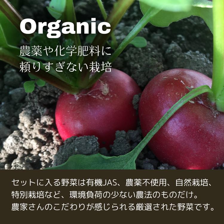 【定期便】京都丹波産【栽培期間中農薬・化学肥料不使用】野菜セット【デラックス】