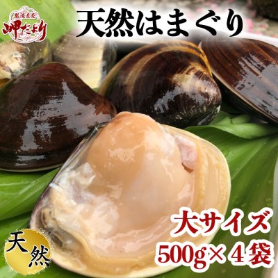 
岬だよりの 希少 天然はまぐり 大サイズ 500g×4袋
