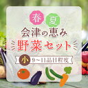 【ふるさと納税】春夏の会津発季節の野菜だより(小)＜9～11品目程度＞ 朝採れ 野菜 セット 詰合せ 契約農家 朝採り 採れたて 新鮮 会津野菜 食品 F4D-1407