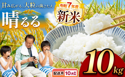 令和7年度産 新米 晴るる 白米 10kg 先行予約 ＜ 2025年10月中旬～より順次発送予定 ＞ ｜ 精米 新米 白米 米 雑穀 お米 コメ 単一米 晴るる はるる  山口 美祢 秋吉台 10kg