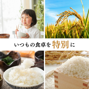 【4月中旬配送】上越市産 新潟 コシヒカリ 5kg こしひかり お米 精米 米 ご飯