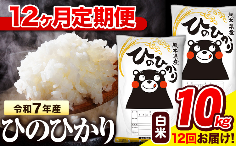 令和7年産 白米 【12ヶ月定期便】 ひのひかり 10kg《お申込み翌月から出荷》 熊本県産 白米 精米 氷川町 ひの 送料無料 ヒノヒカリ コメ 便利 ブランド米 お米 おこめ 熊本---hn7tei_246000_10kg_mo12_hkw_h---