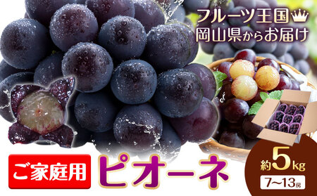 【先行予約】ぶどう ご家庭用 ピオーネ 約5kg (7房~13房) もりおか農園《9月上旬-10月上旬頃出荷》岡山県 浅口市 送料無料 ぶどう フルーツ 果物 くだもの デザート おやつ【配送不可地域あり】