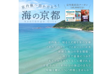 京都【京丹後市観光公社】京丹後宿泊クーポン 5枚【海の京都】京都・京丹後の旅行クーポン＜ 80軒以上宿から選べる＞旅行クーポン・温泉 宿泊券・温泉宿・京都府・旅行券・高級宿・高級ホテル・料理旅館