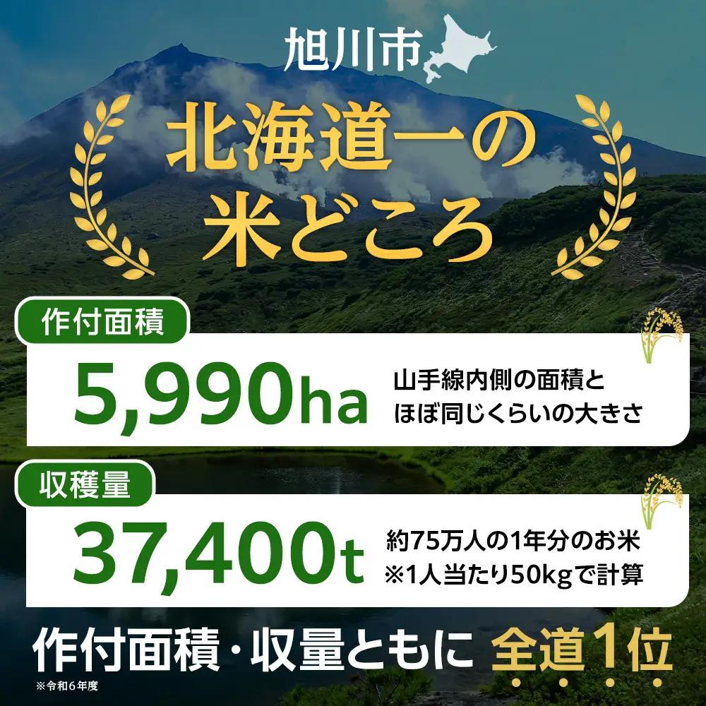 エビフライに合うブレンド米　真空パック1合×6パック　ギフトBOX付き【 精米 ご飯 ごはん 米 お米 旭川市ふるさと納税 北海道ふるさと納税 旭川市 北海道 真空パック 保存 備蓄米 】 _0435