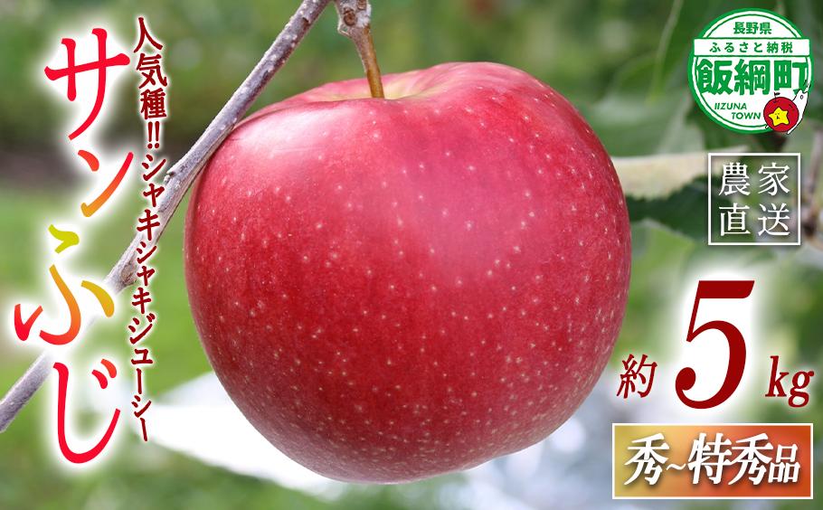 りんご サンふじ 秀 ～ 特秀 5kg 一里山農園 沖縄県への配送不可 2026年12月上旬頃から2026年12月中旬頃まで順次発送予定 令和8年度収穫分 エコファーマー 減農薬栽培 信州 果物 フルーツ リンゴ 林檎 長野 予約 農家直送 長野県 飯綱町 [1897]