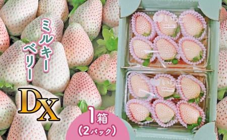 【2026年12月以降発送】ミルキーベリー DX 1箱(2パック) | ミルキーベリー