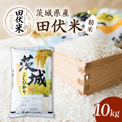 ふるさと納税 かすみがうら市 令和8年産 新米 田伏米のコシヒカリ 10kg(5kg×2) | こしひかり お米 かすみがうら市産