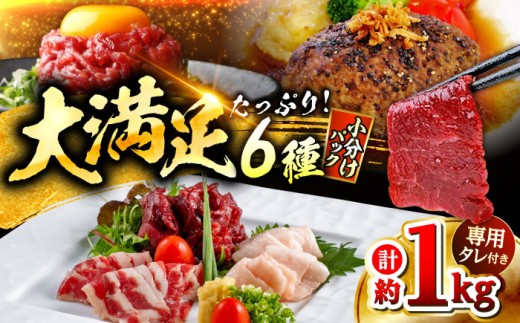馬刺し バラエティー 6種類セット 約1.02kg / 馬肉 馬刺し 馬刺 ハンバーグ 赤身 食べ比べ セット 冷凍 タレ付き 熊本 【株式会社 千興ファーム】[AYAF012]