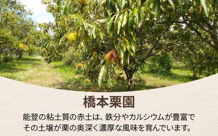 橋本栗園の能登栗(むき栗) 250g × 2パック 計500g / 栗 マロン 和栗