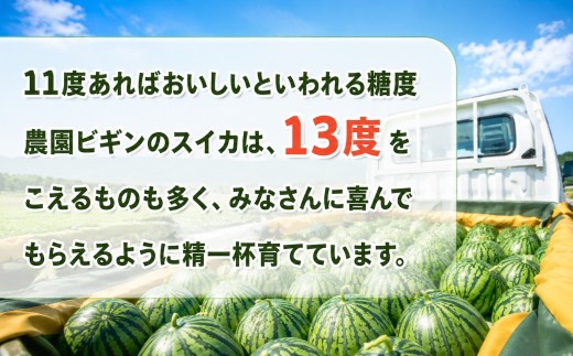 小千谷産大玉スイカ。肉質がやや柔らかめでシャリ感とみずみずしさは十分です！