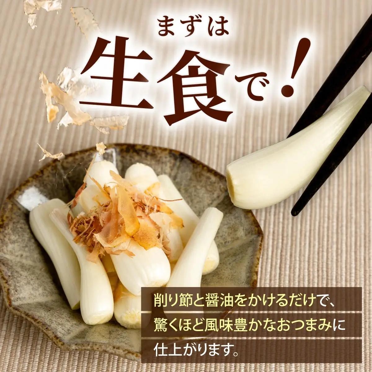 石垣島産 土付き 島らっきょう 1kg 