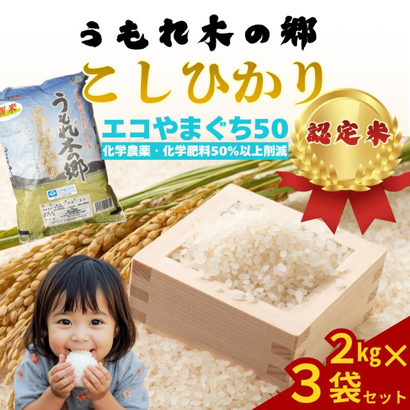 【ふるさと納税】令和7年産 阿武町 「 うもれ木の郷 」 こしひかり 2kg×3袋 【 エコやまぐち認証 】新米 コシヒカリ 山口県