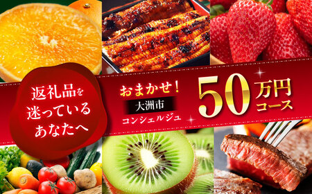 チケット【コンシェルジュ】返礼品おまかせ！寄附額50万円コース チケット[AGXX027]