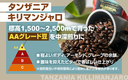 コーヒー豆 人気銘柄飲み比べ 500g コーヒー