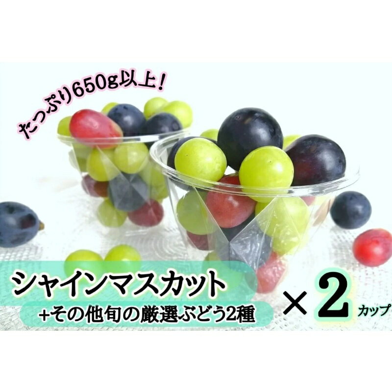 【ふるさと納税】【産地直送】フルーツ王国岡山! シャインマスカット 入り ぶどう 粒カップ×2【2025年9月～発送予定】離島発送不可 / 葡萄 ブドウ 果物 フルーツ マスカット 食べ比べ 新鮮 当日出荷 数量限定 食べやすい ぶどう専門 林ファミリー 真庭市