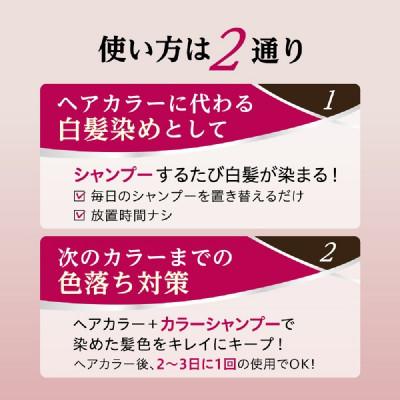 ふるさと納税 稲沢市 ダリヤ　サロン　ド　プロ　カラーシャンプー 《アッシュブラウン》3個セット |  | 02
