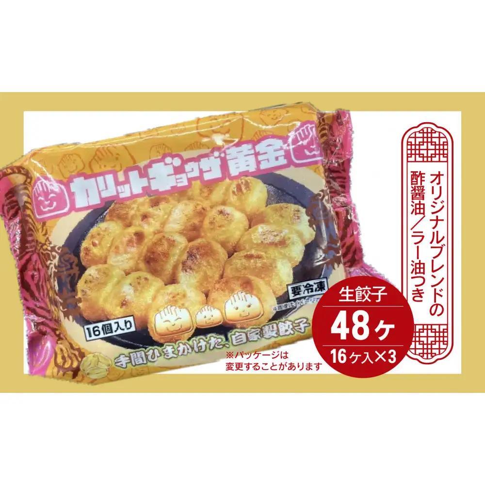 カリットギョウザ 生餃子 48ケ【6人前】ジューシー 大きい 冷凍餃子 冷凍生餃子