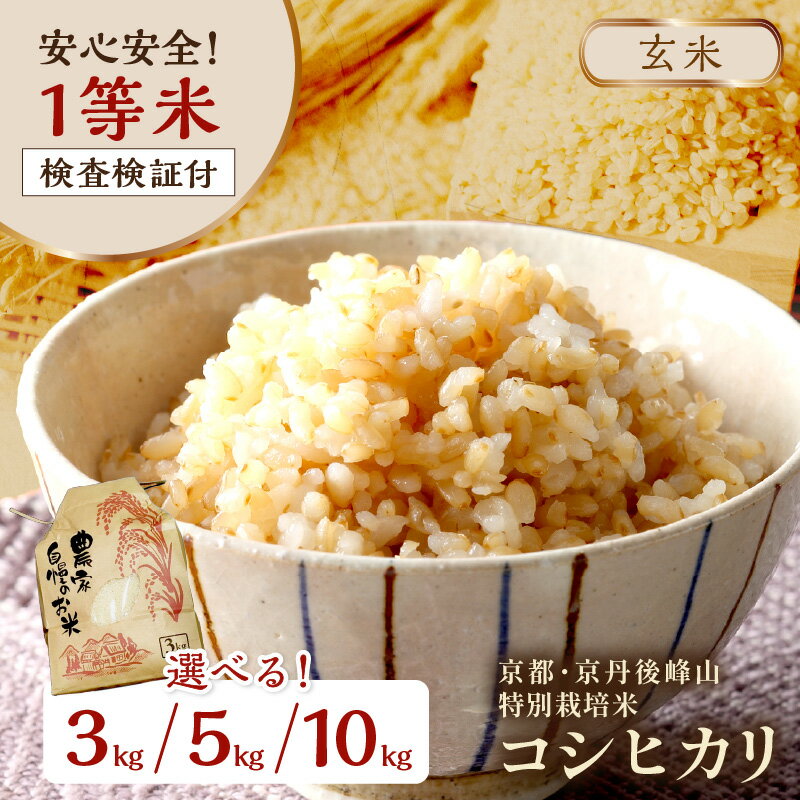 【ふるさと納税】高評価・こだわり米農家直送／玄米　3kg～高評価★5.0 高レビュー★ ／ 2024年産 2025年産 京都・京丹後 峰山 特別栽培米コシヒカリ 3kg 5kg 10kg【玄米】 1等米 検査済証付 選べる お米 玄米 お弁当 特別栽培 一等米 ふるさと納税 玄米