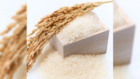 令和7年産 桜川市の 厳選甘引米 コシヒカリ 精米 5kg 桜川市産 コシヒカリ こしひかり 米 こめ コメ 茨城県 いばらき 有機肥料 [BA004sa]