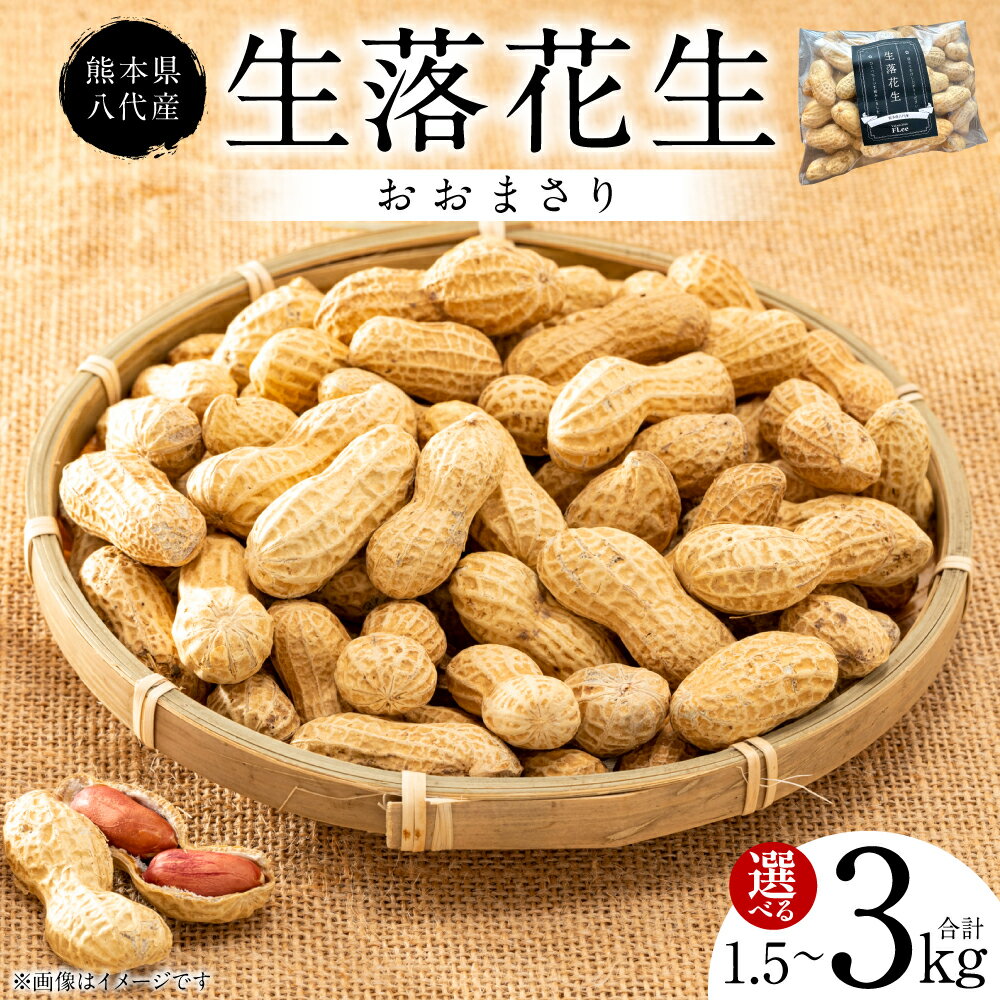 【ふるさと納税】【先行予約】 熊本県 八代産 生落花生 [おおまさり] 1.5kg～3kg ＼選べる容量／ 落花生 ラッカセイ らっかせい おおまさり 生 なま 茹で おつまみ おやつ ピーナッツ 豆 旬 野菜 送料無料 【2026年9月上旬より順次発送】